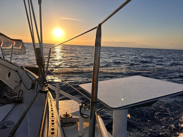 OceansConnect: SmartConnect Gateway + Starlink Flat High Performance Maritime