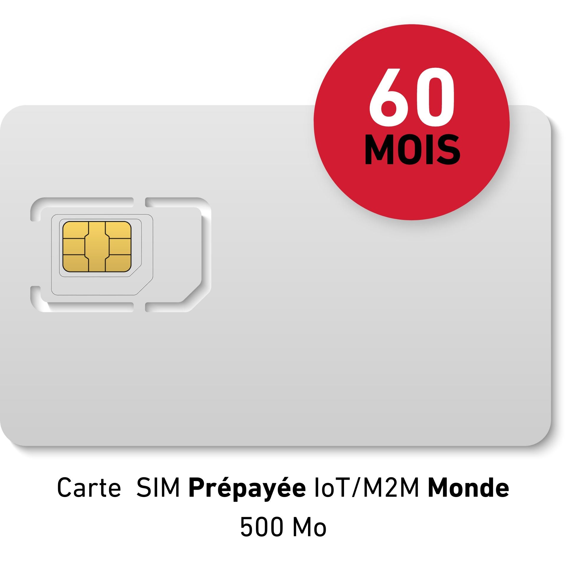 Carte SIM Prépayée IoT/M2M Monde 50 € HT 500Mb data Validité 60