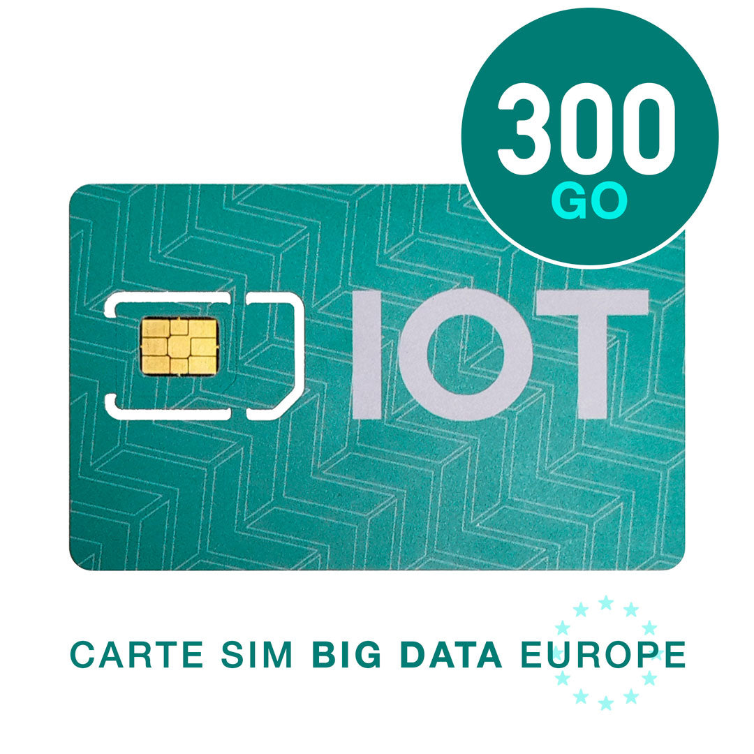 Abonnement mensuel CARTE SIM BIG DATA Europe 300Go