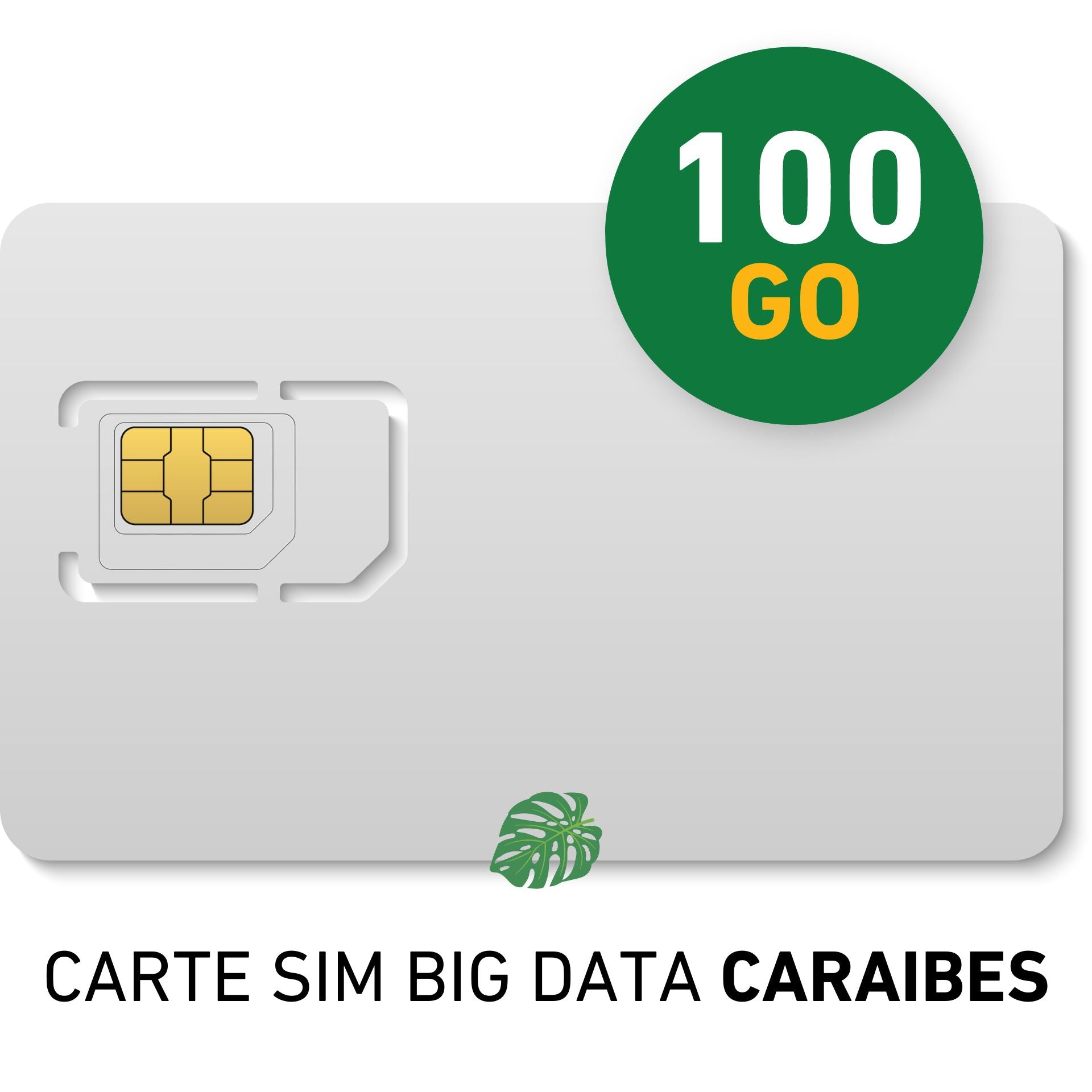 Abonnement mensuel CARTE SIM BIG DATA Caraibes 100Go