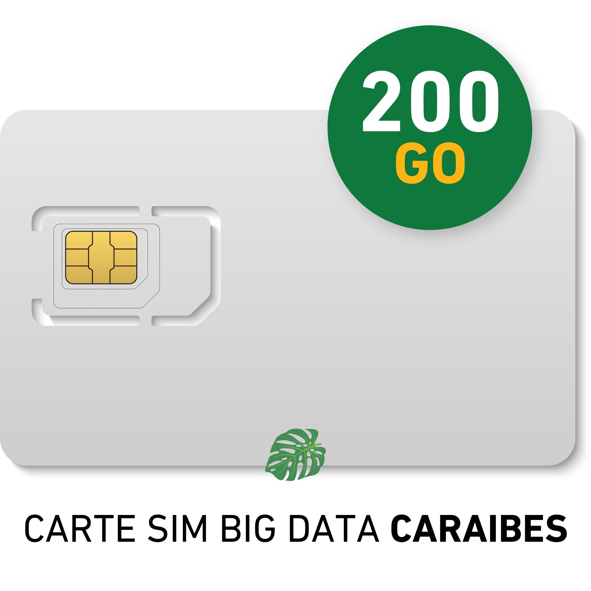 Monthly subscription CARTE SIM BIG DATA Caraibes 200Go