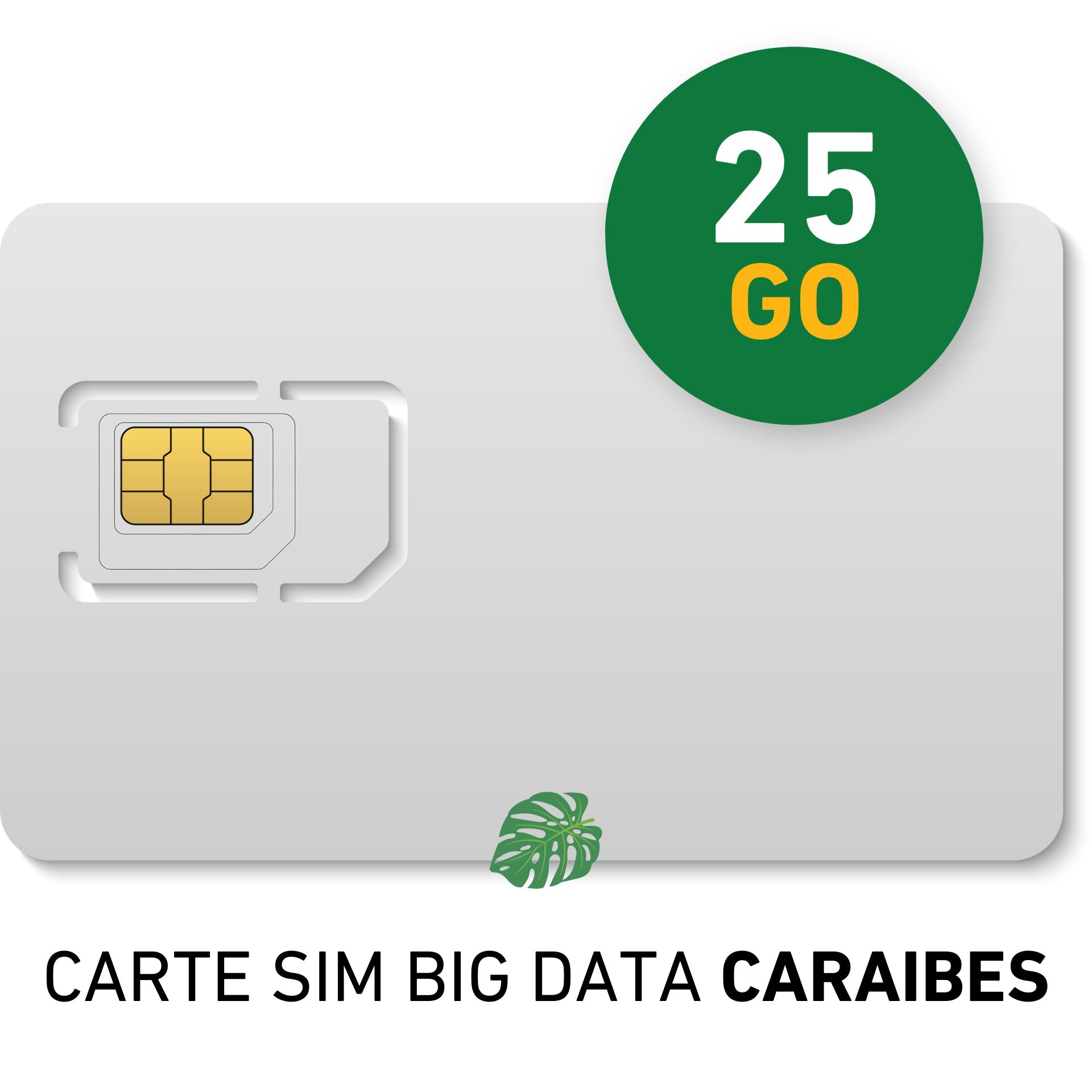 Monatliches Abonnement SIM-KARTE BIG DATA Caraibes 25GB