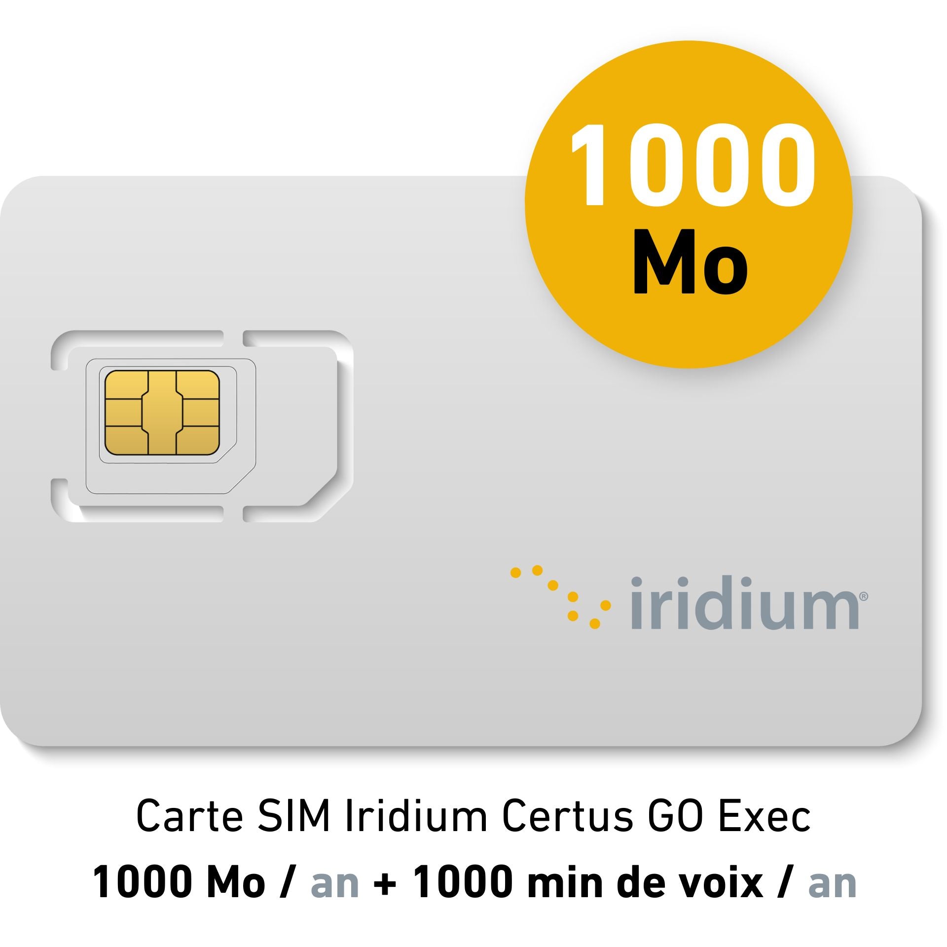 Abonnement Plaisance Annuel Iridium Certus GO Exec - 1000Mo/an + 1000 min de voix/an