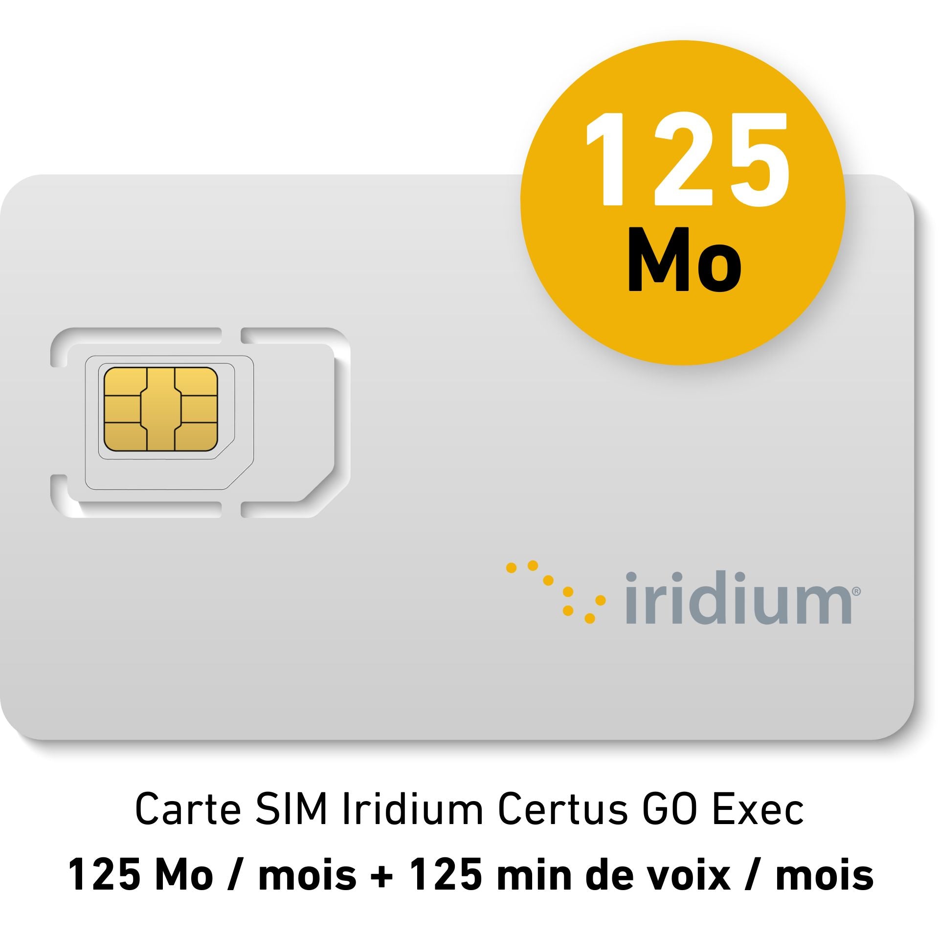 Abbonamento mensile di piacere Iridium Certus GO Exec - 125MB/mese + 125 min voce/mese