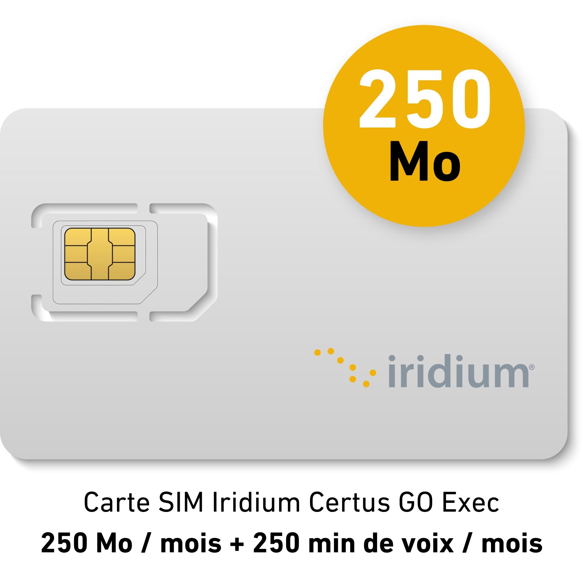 Abbonamento mensile di piacere Iridium Certus GO Exec - 250MB/mese + 250 min voce/mese