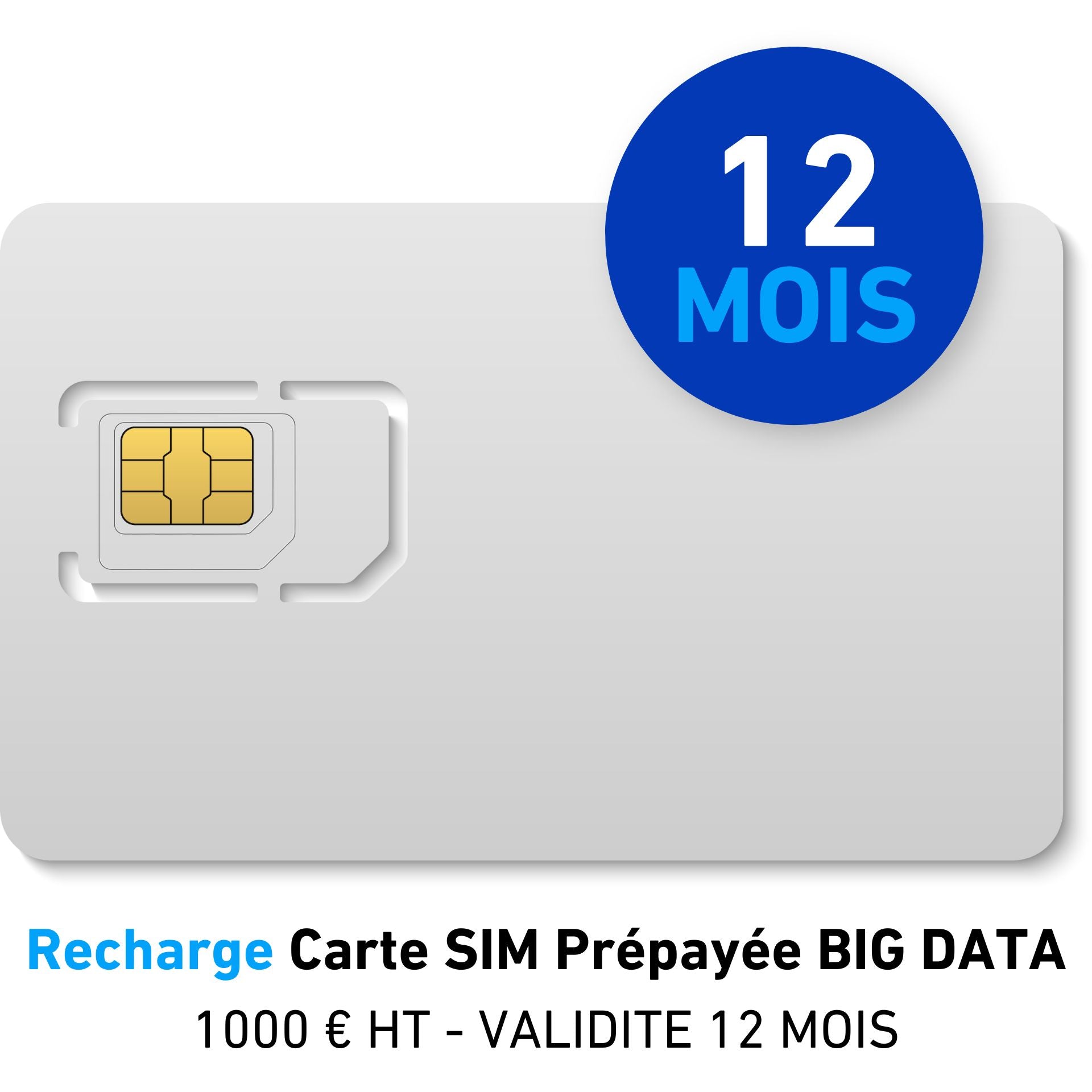 Recarga de tarjeta SIM de prepago Grandes Datos 1000 € HT - VALIDEZ 12 MESES